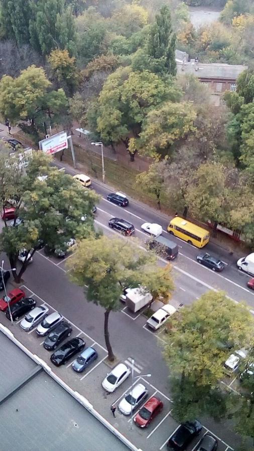 Альтаир Odessa Luaran gambar